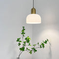 Wabi-Sabi Semi-circle Pendant Light