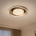 Modern Ceiling Light