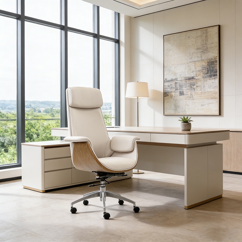Modern Curved Desk Chair