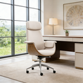 Modern Curved Desk Chair