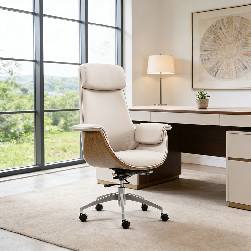 Modern Curved Desk Chair