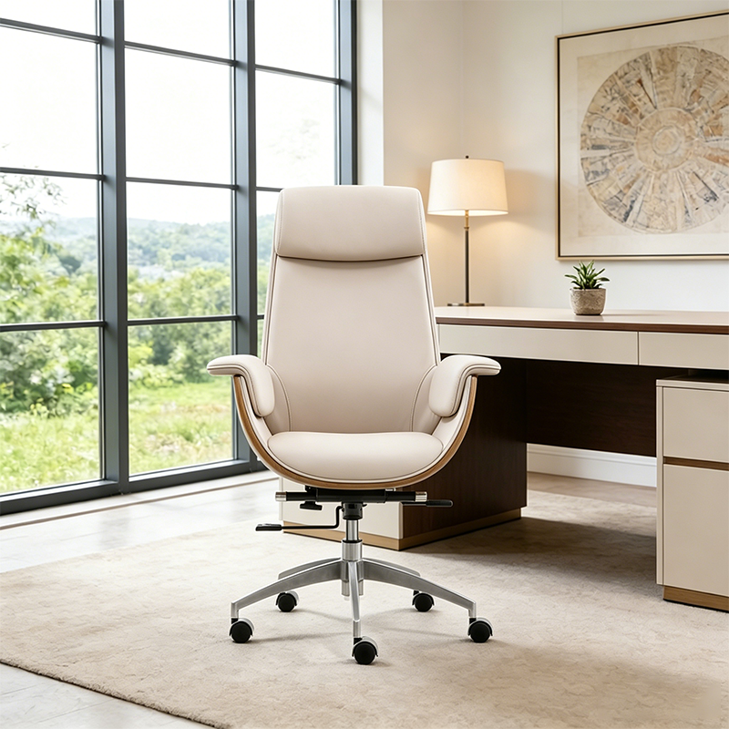 Modern Curved Desk Chair