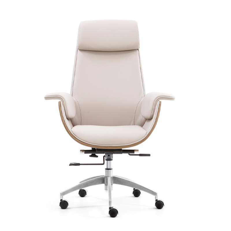 Modern Curved Desk Chair