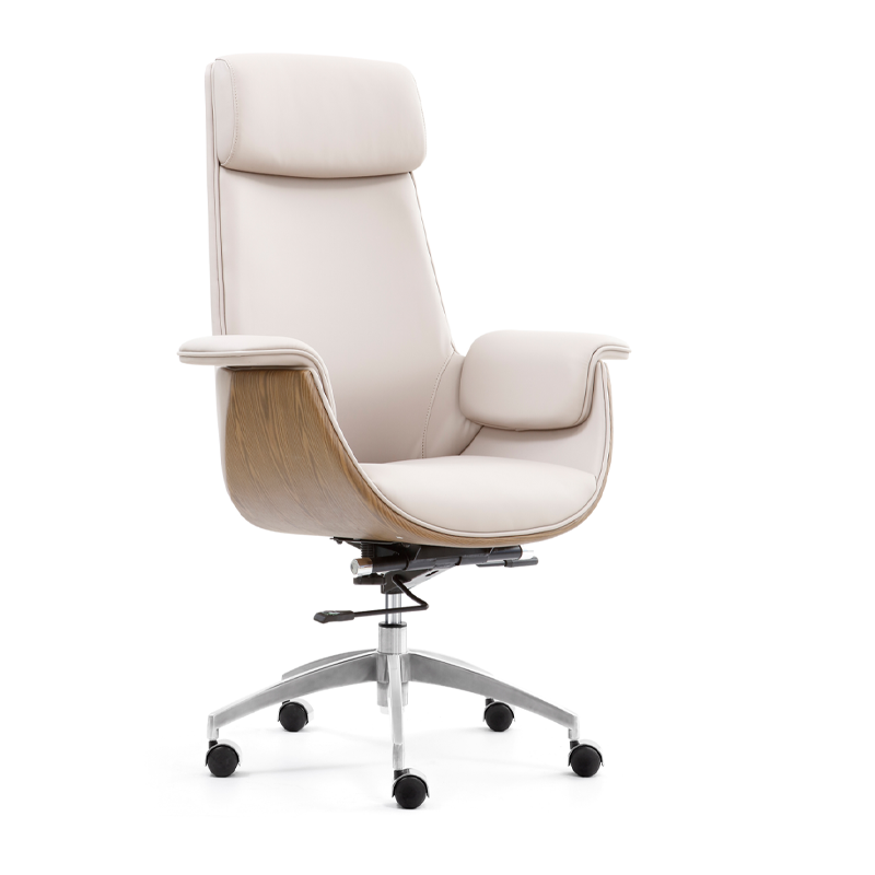 Modern Curved Desk Chair