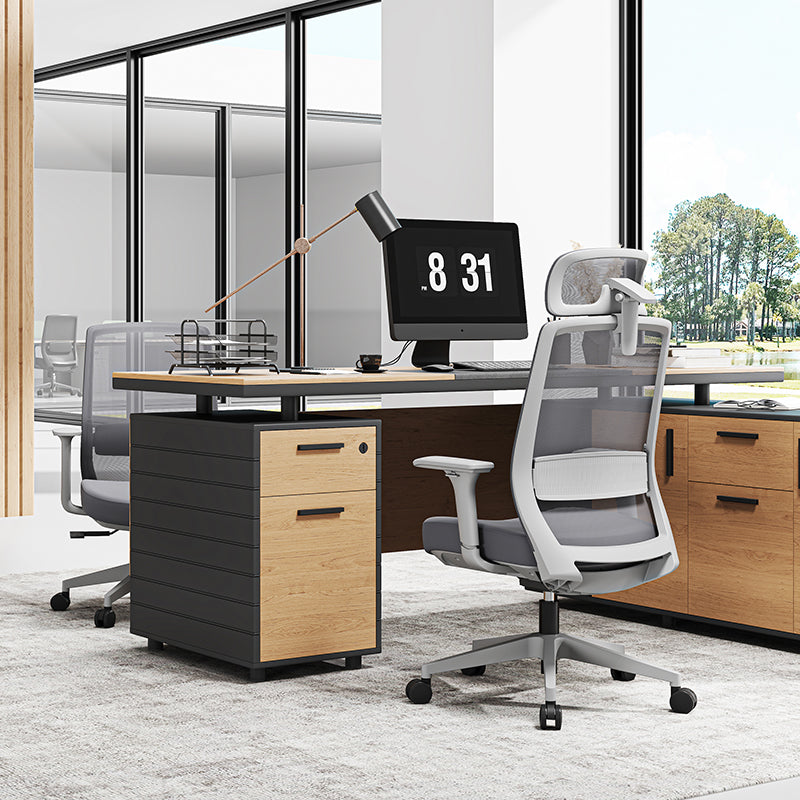 Minimalist Ergonomic Desk Chair