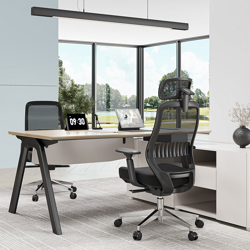 Minimalist Ergonomic Desk Chair