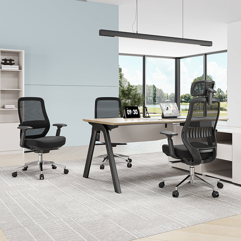 Minimalist Ergonomic Desk Chair