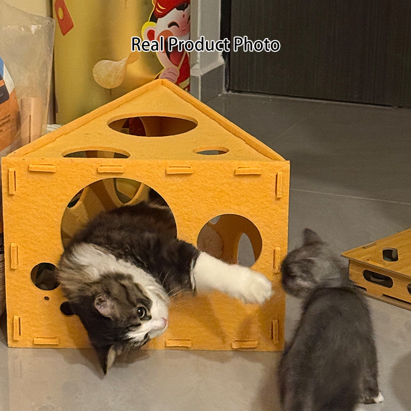 Contemporary Cat Bed