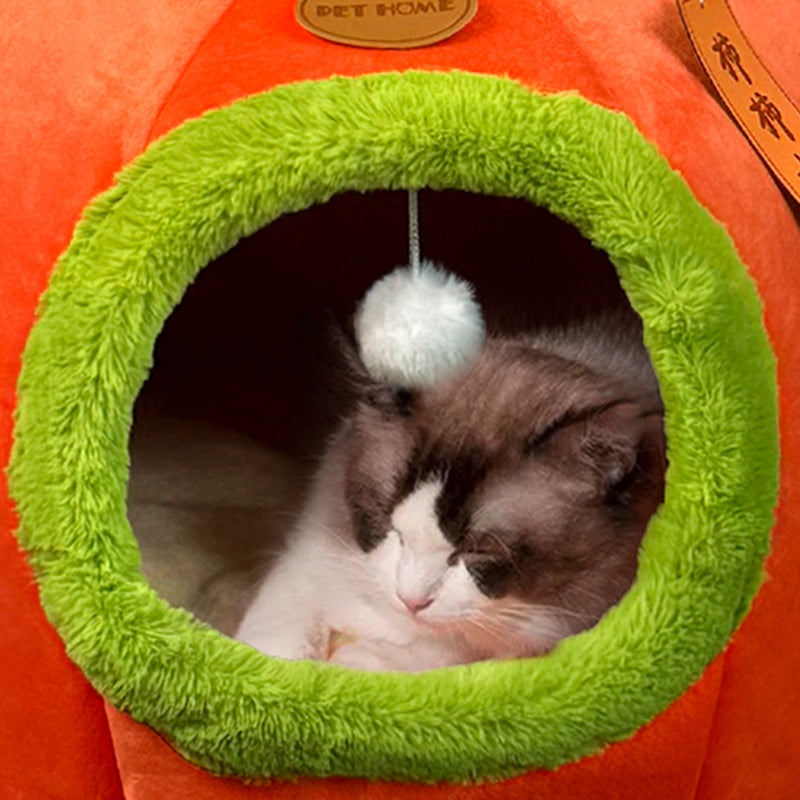 Contemporary Cat Bed