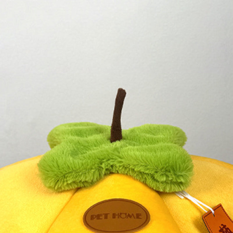 Contemporary Cat Bed