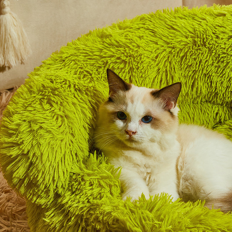 Contemporary Cartoon Cat Bed