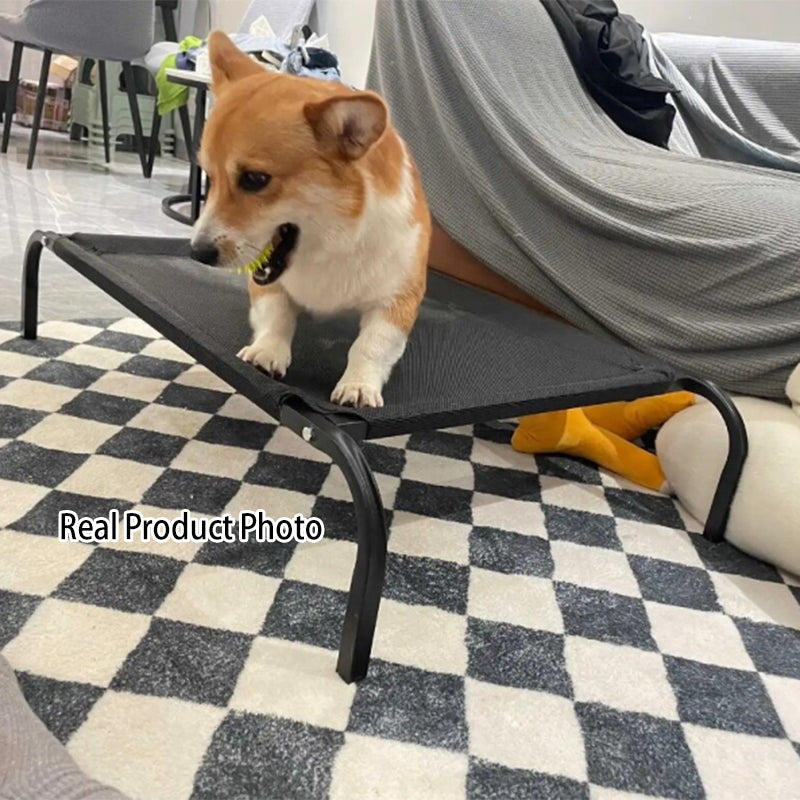 Minimalist Rectangular Dog Bed