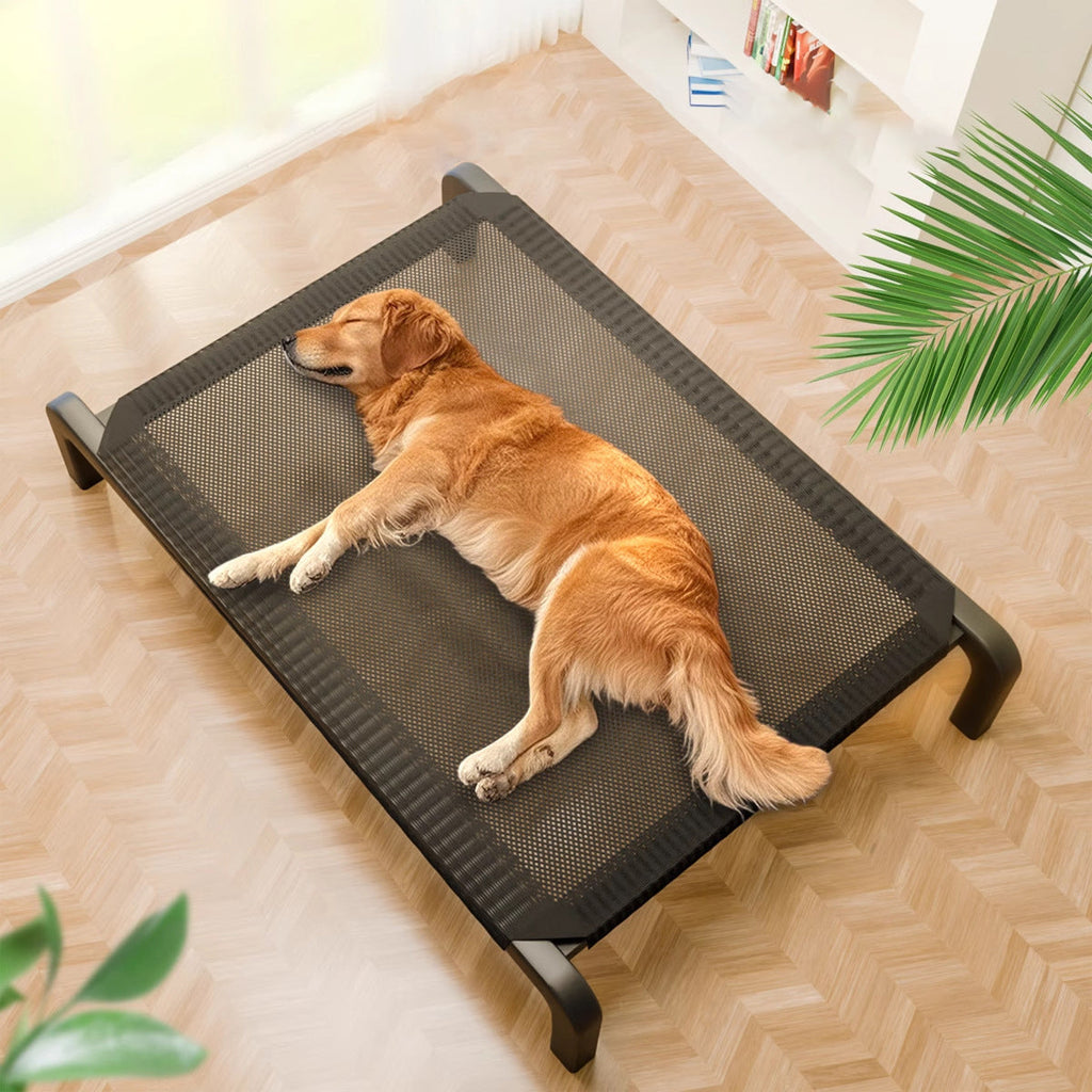 Minimalist Rectangular Dog Bed