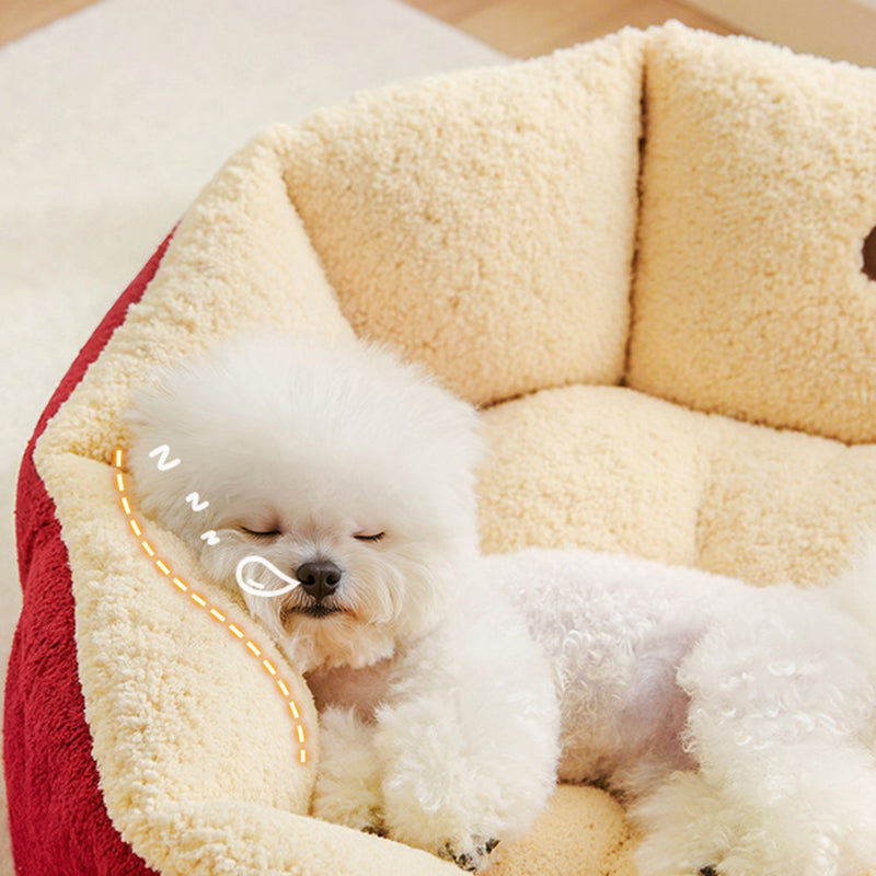 Contemporary Cat Bed