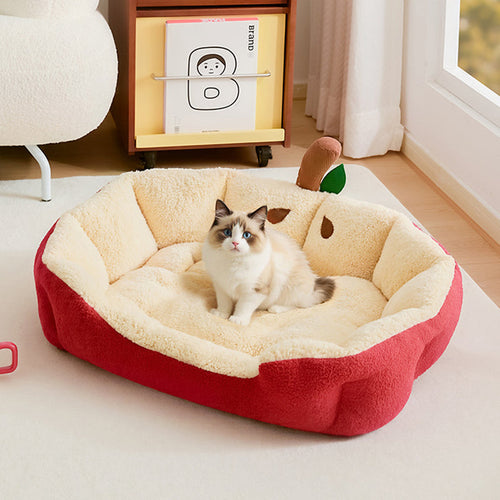 Contemporary Cat Bed