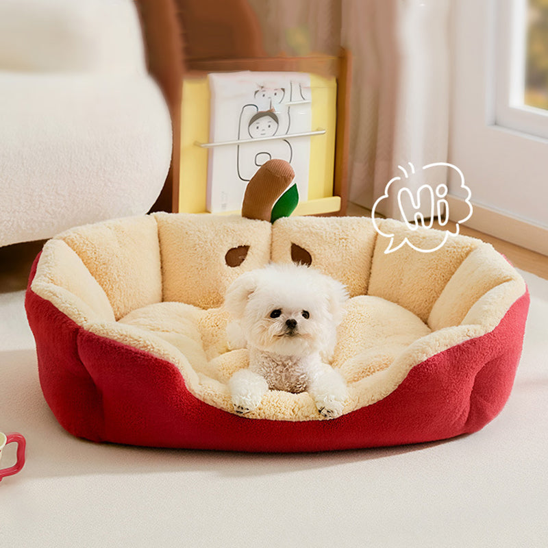 Contemporary Cat Bed