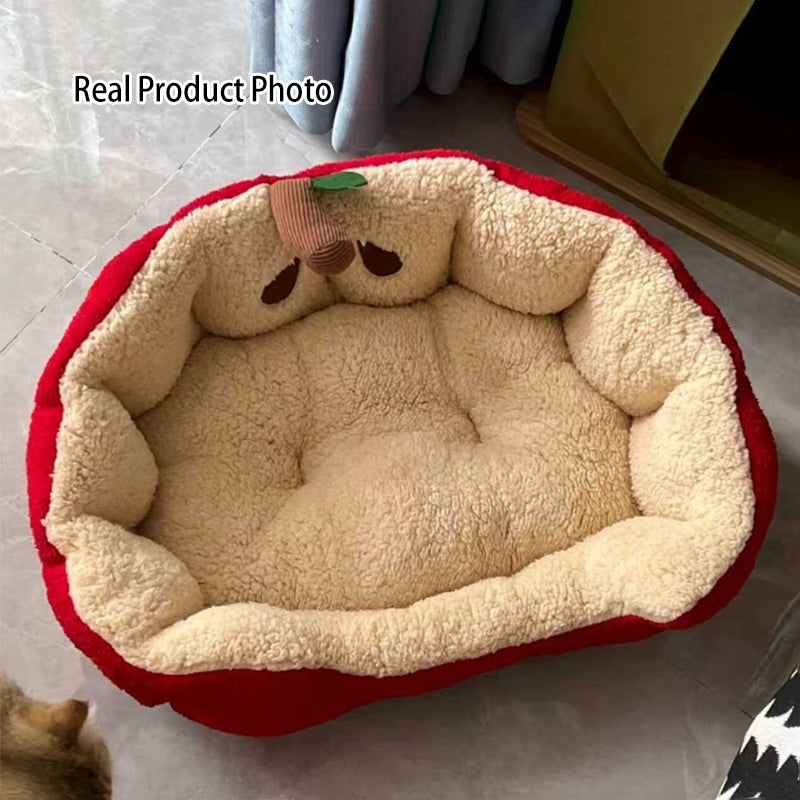 Contemporary Cat Bed
