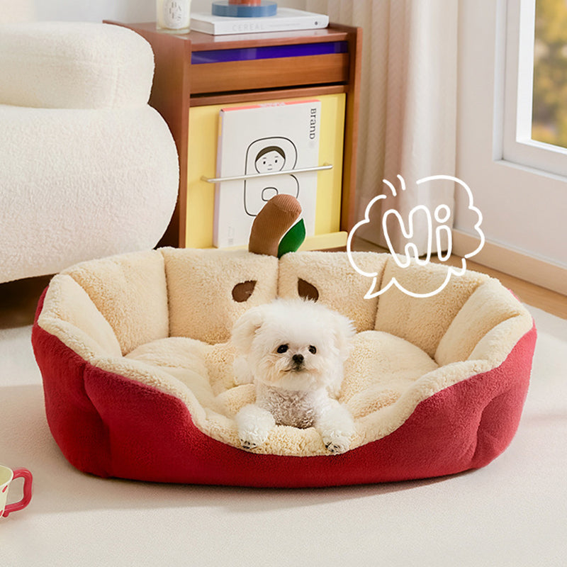 Contemporary Cat Bed
