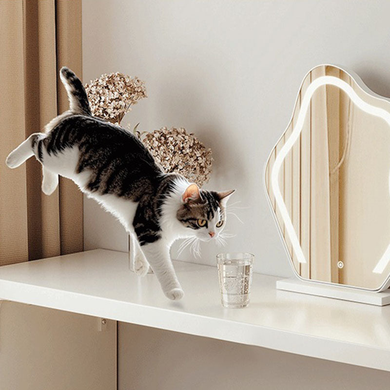 Minimalist Rectangular Makeup Vanity