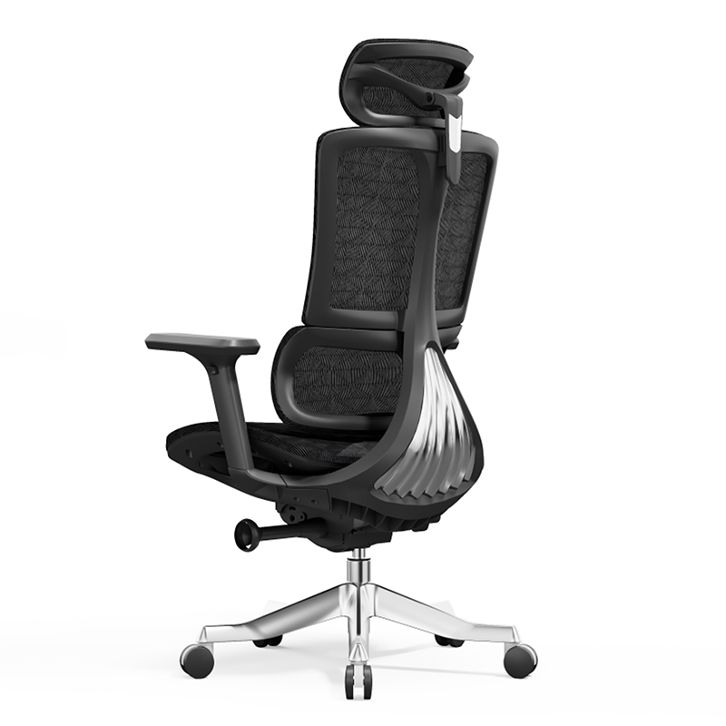 Minimalist Ergonomic Desk Chair
