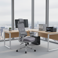 Modern Ergonomic Desk Chair