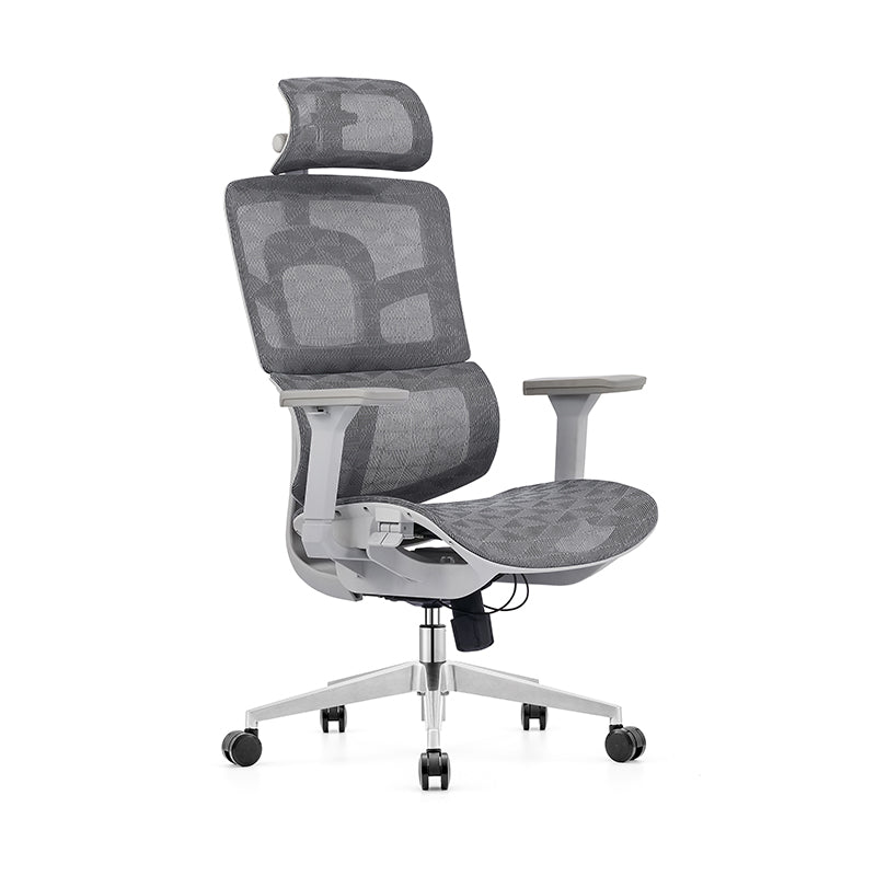 Modern Ergonomic Desk Chair