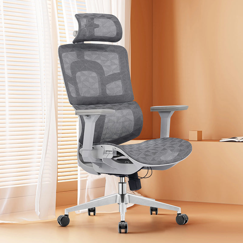 Modern Ergonomic Desk Chair