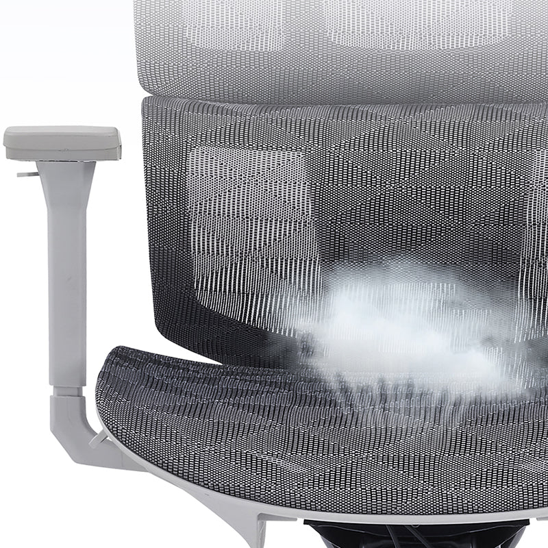 Modern Ergonomic Desk Chair