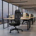 Modern Ergonomic Desk Chair