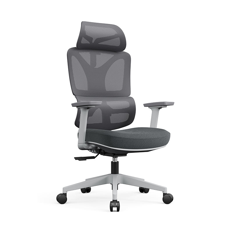 Modern Ergonomic Desk Chair