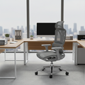 Modern Ergonomic Desk Chair