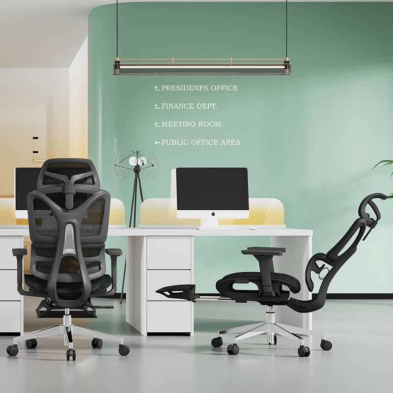 Minimalist Ergonomic Desk Chair