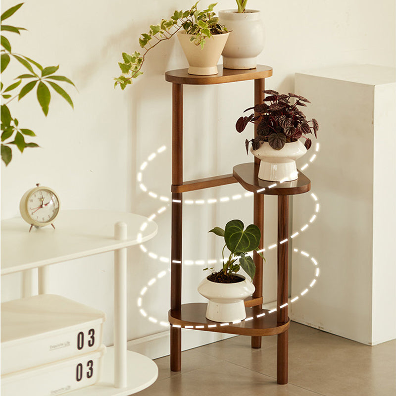 Traditional Flower Display Rack