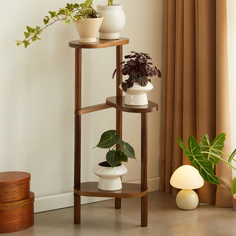 Traditional Flower Display Rack