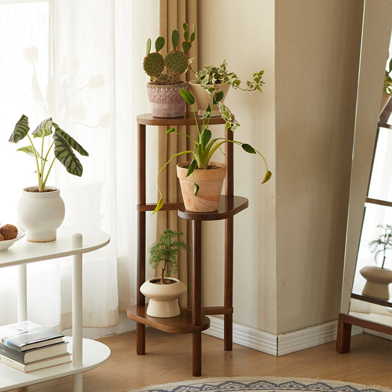 Traditional Flower Display Rack